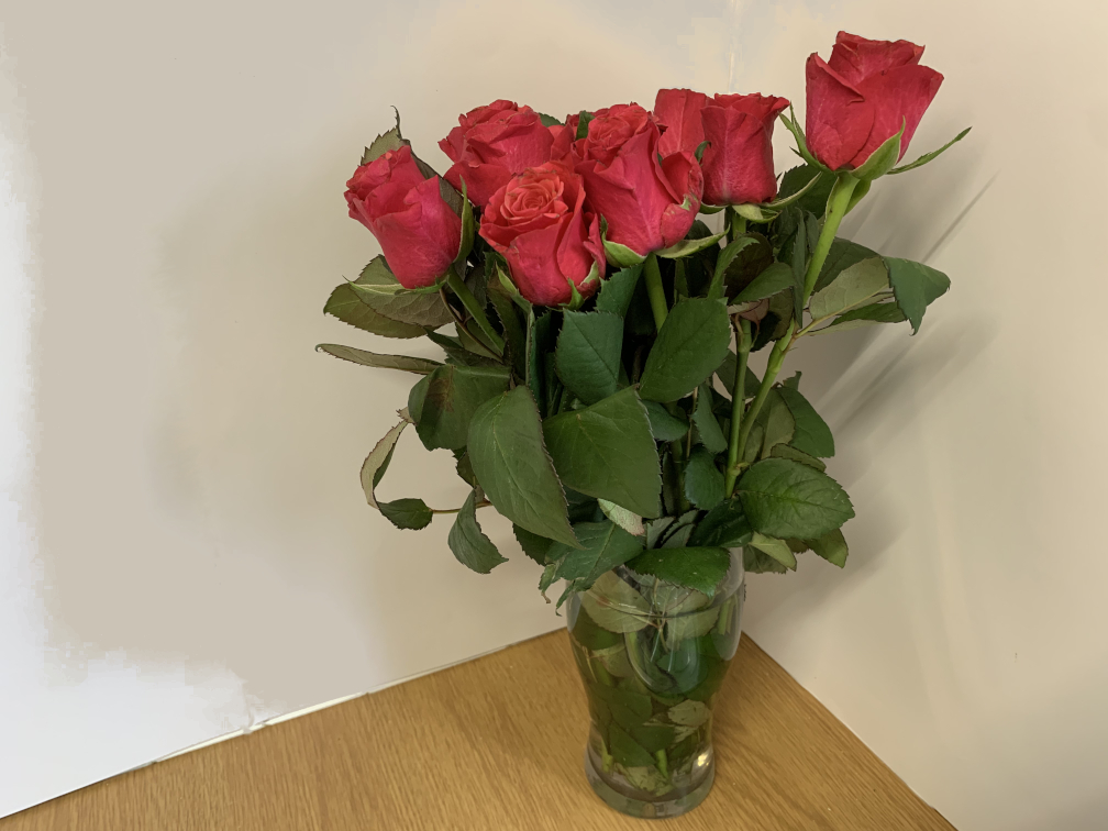 Red roses sitting on counter against wall