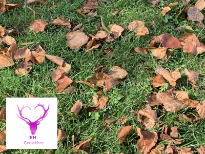 Image of Autumn leaves on grass