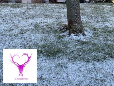 A tree trunk  surrounded by snow